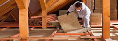 Best Attic Insulation Installation  in Erwin, NC